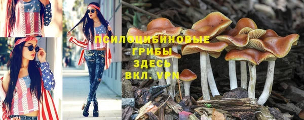 амф Краснотурьинск