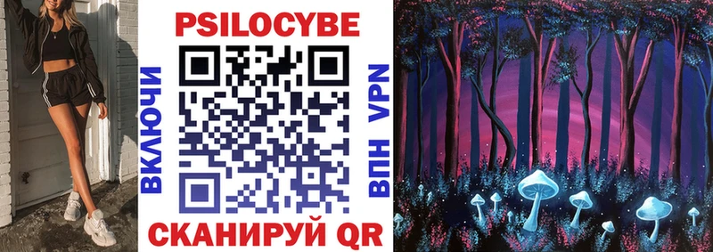 Псилоцибиновые грибы Psilocybe  купить наркотики сайты  Сураж 