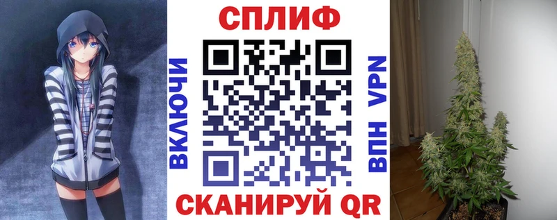 Конопля THC 21% Сураж